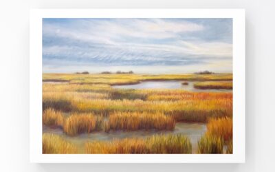 Carolina Salt Marsh